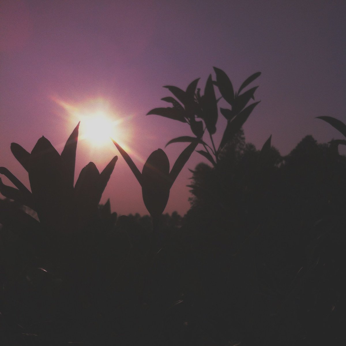 ssclWangYi's tweet photo. Toward the sun, we are on the way~#sunhsine https://t.co/B0acYJ8Qqb