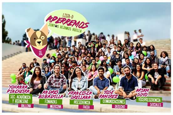 AperremosUDEC's tweet photo. Sigan el conteo de votos en las #EleccionesFEC por la radio online de #AperremosUdeC https://t.co/nep3yWDErP https://t.co/TDTmDYCtbL