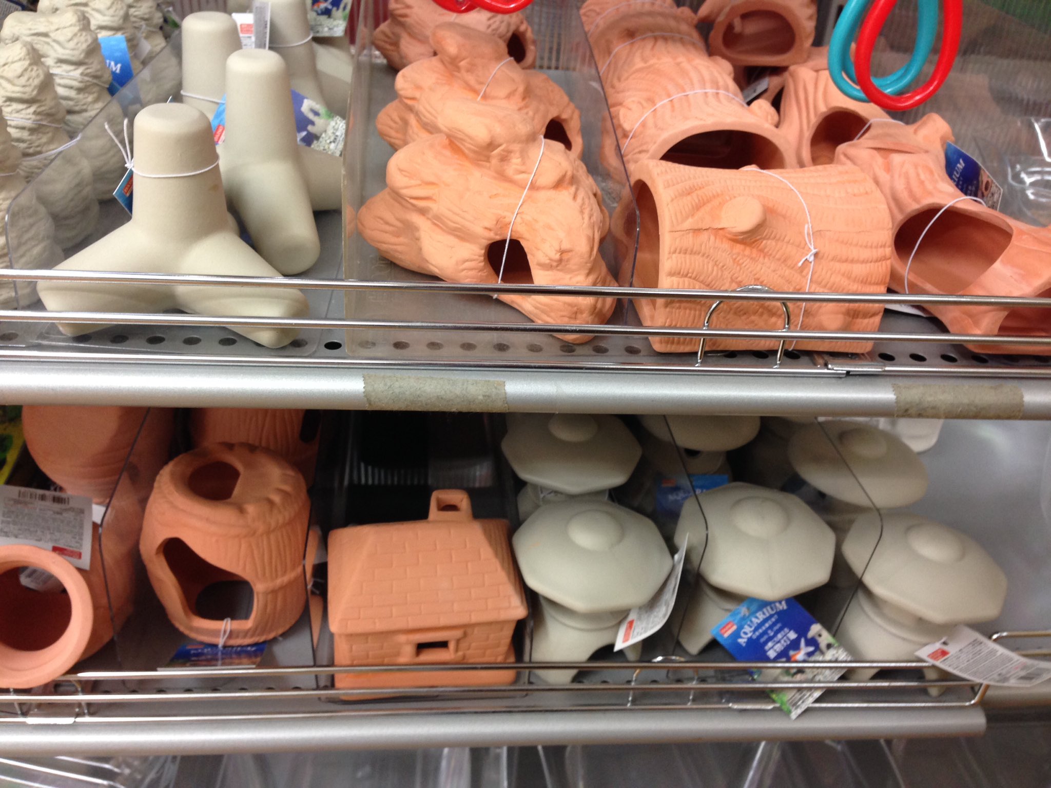 E T 趣味垢 100均のアクア置物増えてました かなり大きめですが プレコ入りそう 自分のメモ用ですが貼っておきますね T Co Zlfsnecvh8 Twitter E T 趣味垢 100均のアクア置物増えてました かなり大きめですが プレコ入りそう 自分のメモ用ですが貼っておきますね T Co Zlfsnecvh8 Twitter