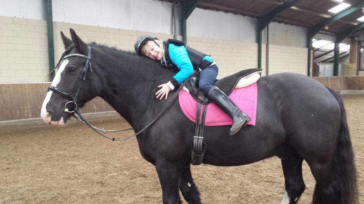 DannyNehm's tweet image. Autisme en paarden horsesatwork.nl/nieuwsblog/aut… #autisme #paarden
