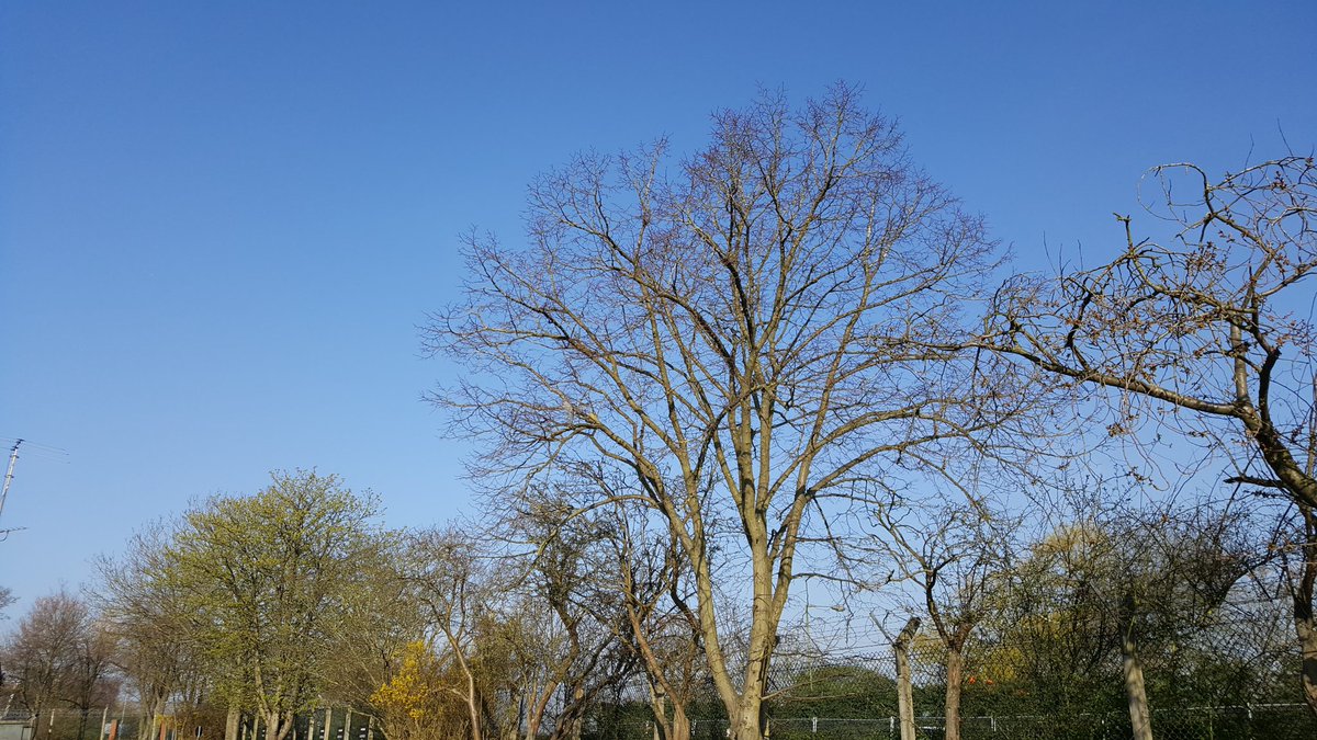 Oh hi blue sky ☉☉☉