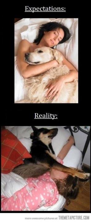 stylesiant (@stylesiant) on Twitter photo 