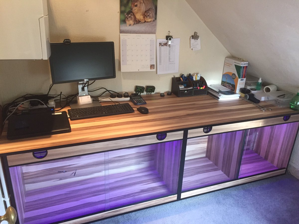 Office completed now to put the snakes in!