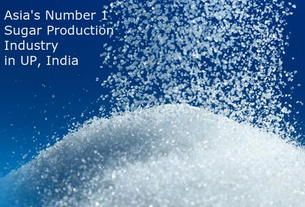 bajaj_group's tweet photo. Are you searching the best #SugarManufacturingIndustry or plants in India?  - https://t.co/jxUSy2VZa5 https://t.co/ZlooFkqgOu