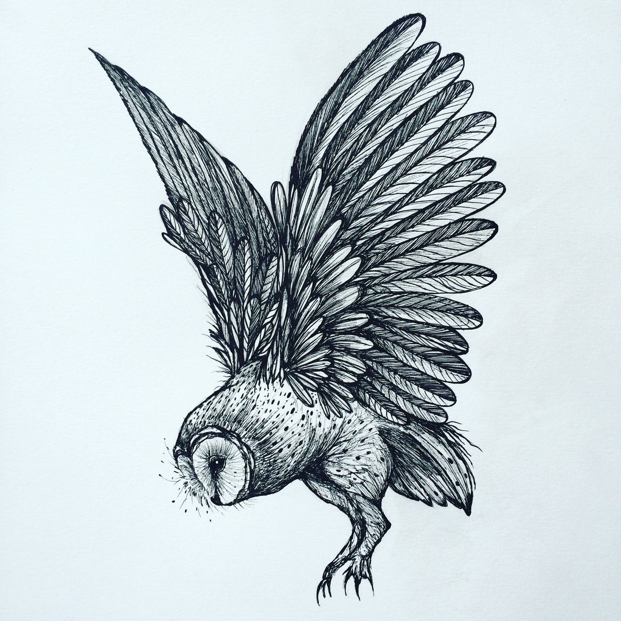 Zentangle Bird Art Print by Miguel Angel | Society6