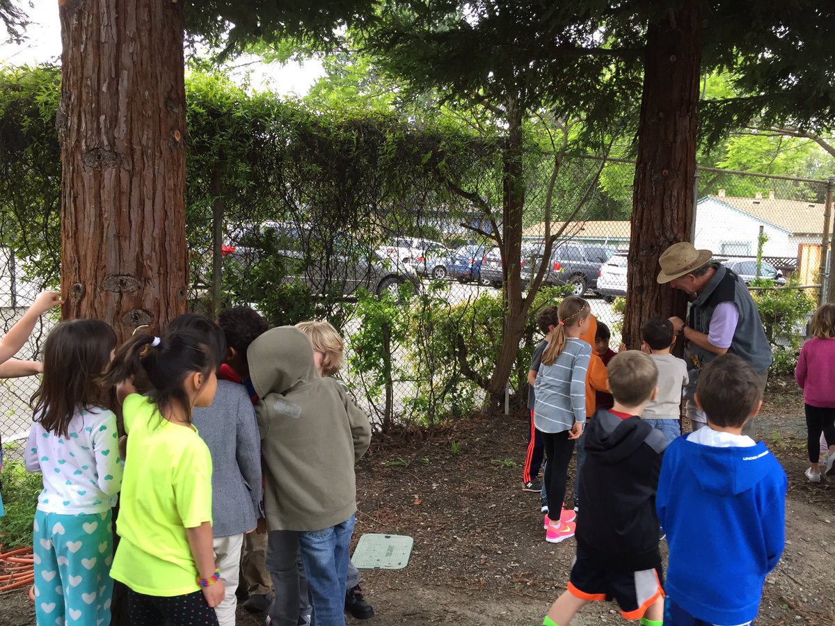 Wolfman1st's tweet photo. Redwood investigation with Mr. Winter! #laf1stgrade https://t.co/XGfrPXcuVv