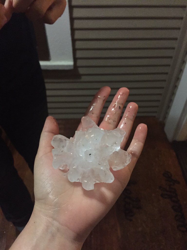 Broke through my kitchen window! Tobin Hill neighborhood. <a href="/BillTaylorKENS5/">Bill Taylor</a>
