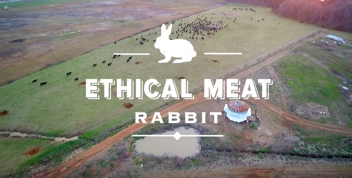 Zagat's tweet photo. Catch episode 1 of our new series Ethical Meat - rabbit farming at @whiteoakpasture https://t.co/GeDzffrahY https://t.co/4b4BtcNZPn