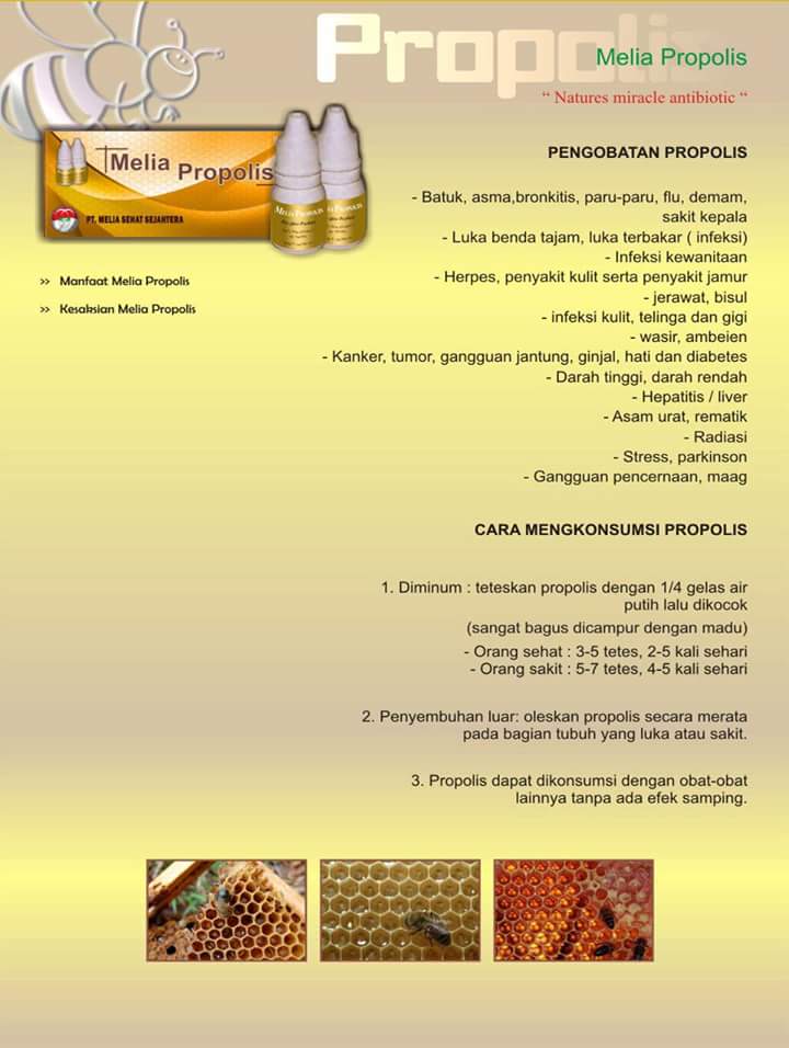 pengobatan luka diabetes dengan propolis pengobatan luka diabetes dengan propolis