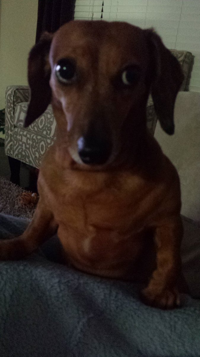 RunDisneyFan's tweet photo. The look I get when I start crying during @DanceMoms #ashamed #sorryMinnie #guilty #maddiedontgo #DanceMoms https://t.co/LllpIsWPZc
