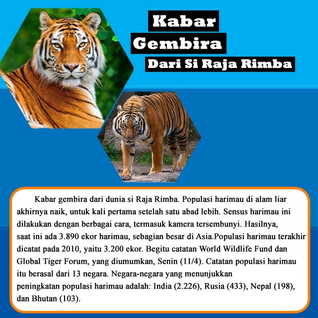 kabar gembira dari Si Raja Rimba