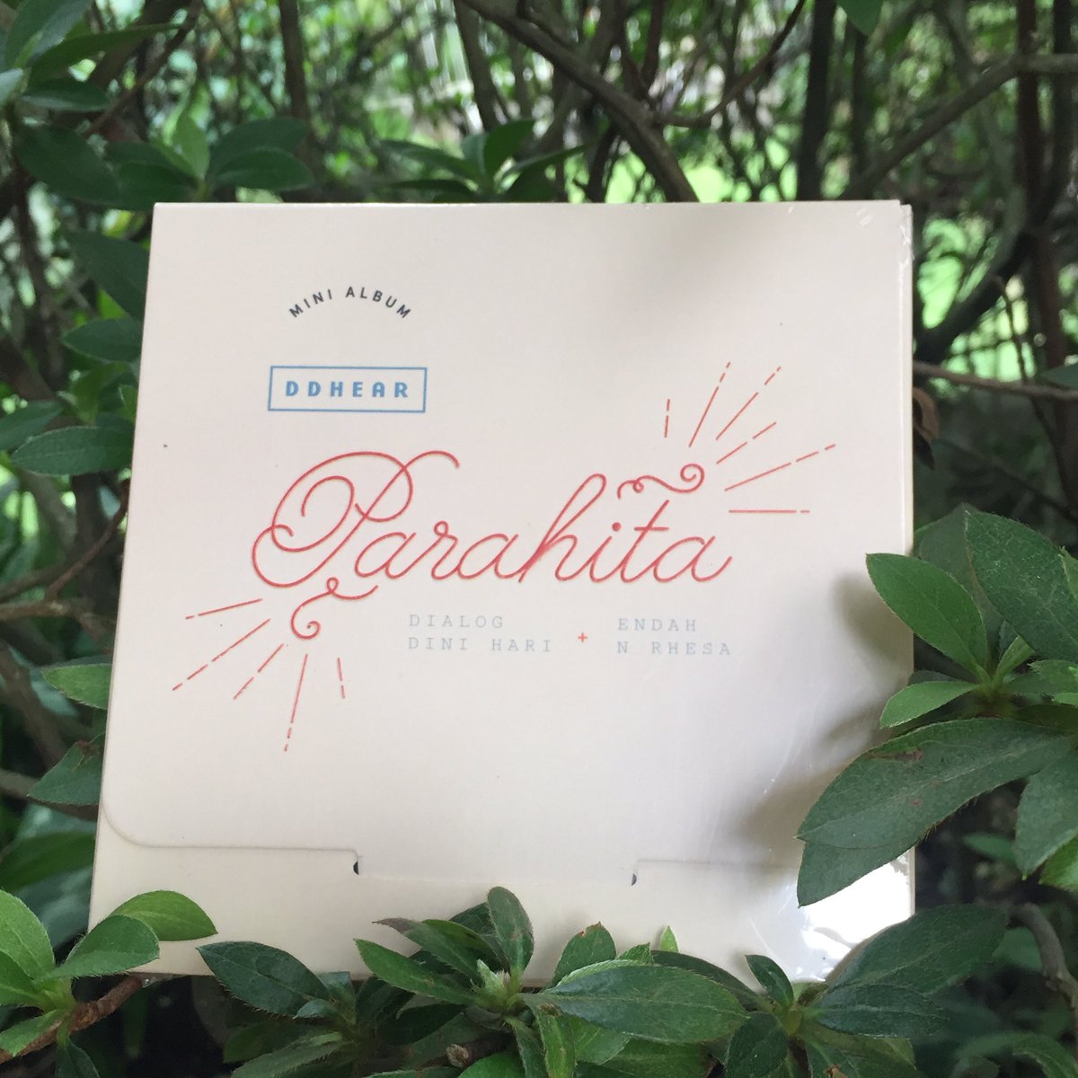 Kineruku tweet media