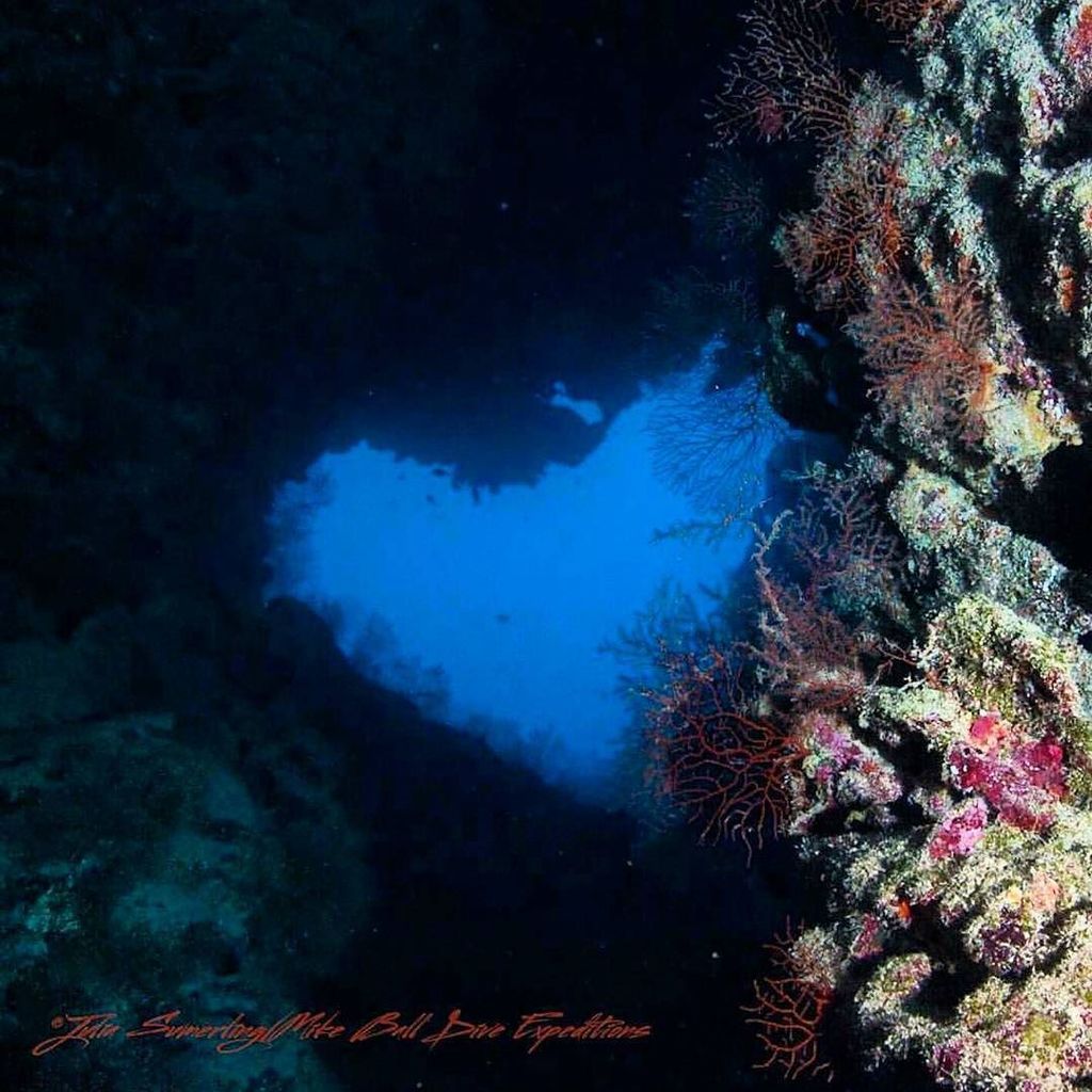 exploreGBR's tweet photo. The Heart Cave in the Coral Sea! Thanks for sharing this awesome shot @seajewlz.
#exploreG… https://t.co/fAKCdXrN2q https://t.co/yDwbfrGUls