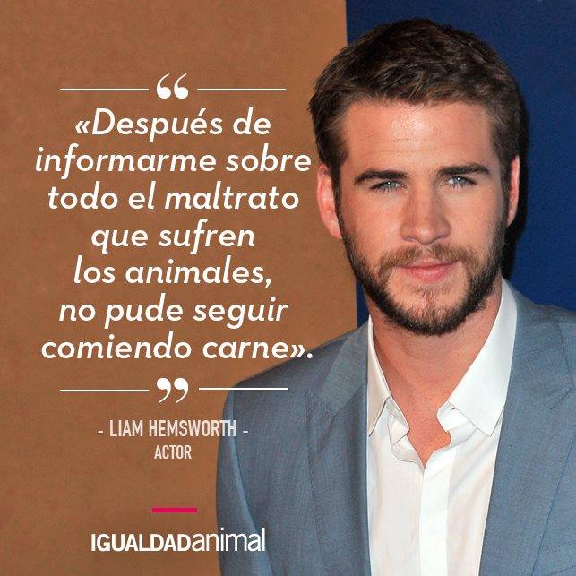 IgualdadAnimal's tweet photo. "Después de informarme sobre todo el maltrato q sufren los animales, no pude seguir comiendo carne" https://t.co/UasTbwJjpu #FelizMiércoles
