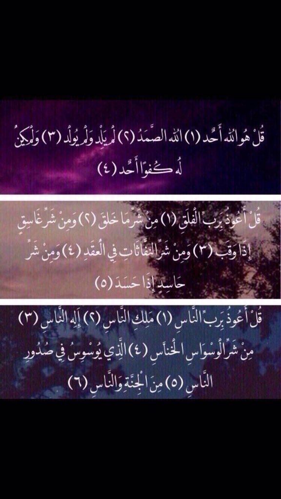 مشعل tweet media