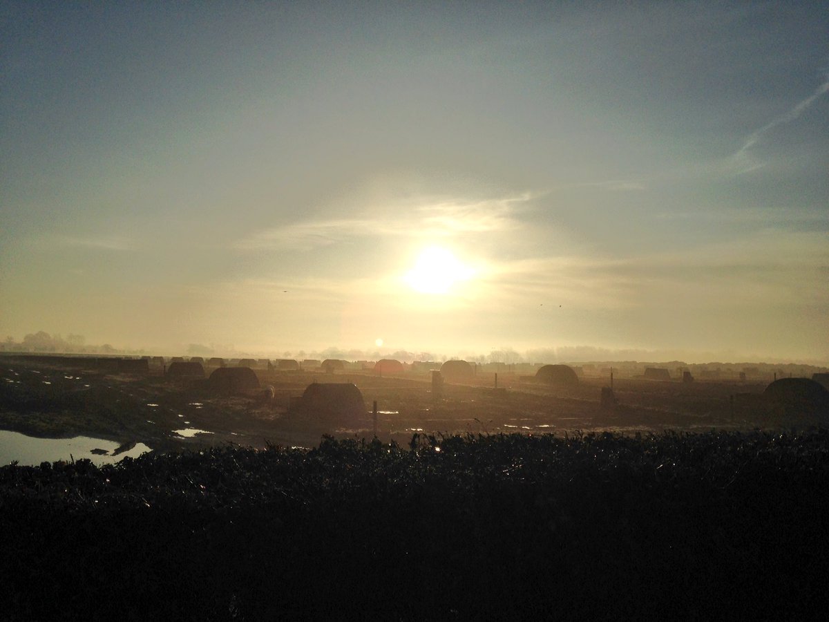 RealGeoffBarton's tweet photo. Today's horizons: cows to the west, pigs to the east #SuffolkViews https://t.co/vFxhhmwOqm