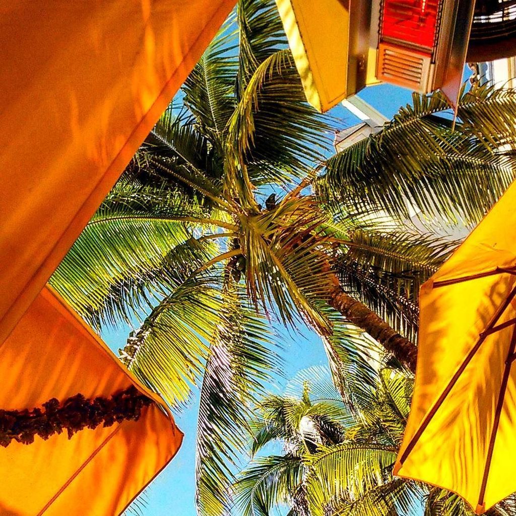 AireBedd's tweet photo. Grey skies are going to clear up #putonahappyface #palmtreesandmargaritas #Miami #Miamibeach #sunnyskies https://t.co/bmPGgR2htJ