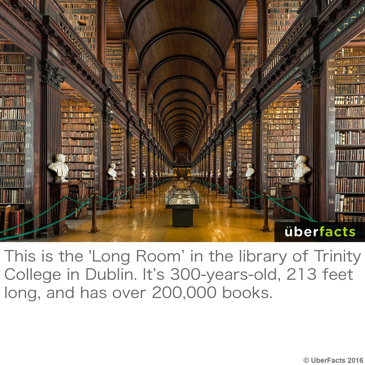 UberFacts's tweet photo. Amazing. https://t.co/MdspjP9pzF