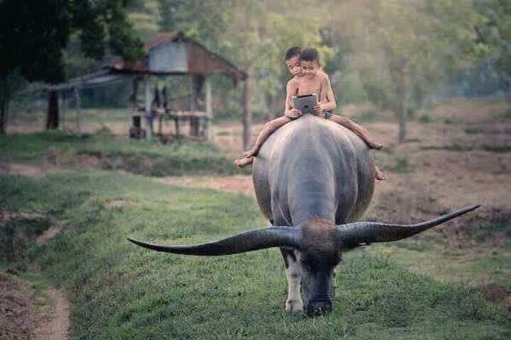 GojiBackpacker's tweet photo. Travel back to your childhood. https://t.co/gzpS9KjDWE