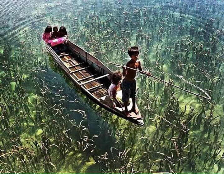 GojiBackpacker's tweet photo. Travel back to your childhood. https://t.co/gzpS9KjDWE