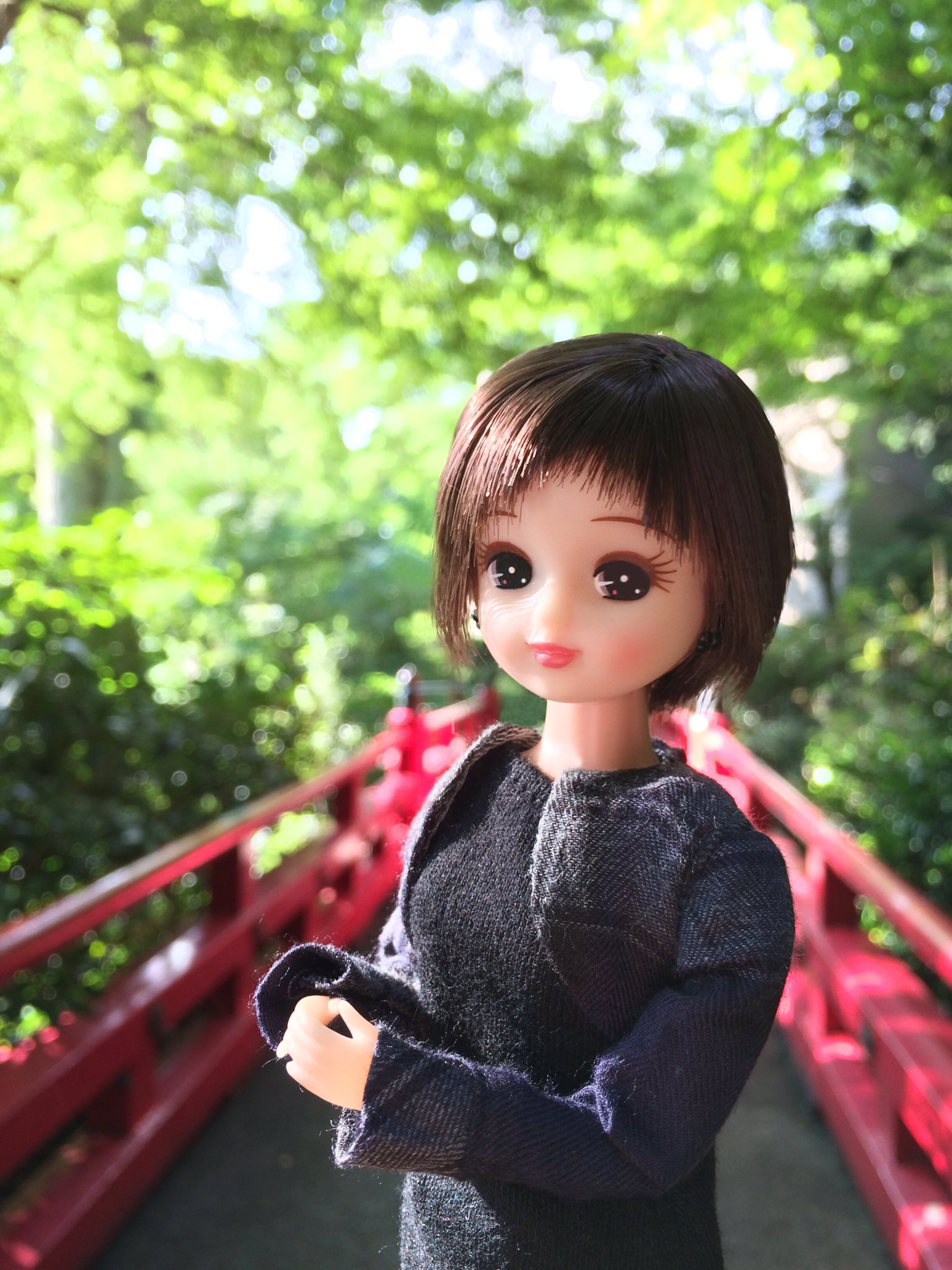 リカちゃん 公式 永遠にめぐりくる春よ 三つの宝をあなたは忘れずに届けてくれる 年ごとに蘇えるライラックの花と 西空に沈むあの星と そして愛する人の想い出を ウォルト ホイットマン 名言 春 T Co Lytcaz9lxo Twitter