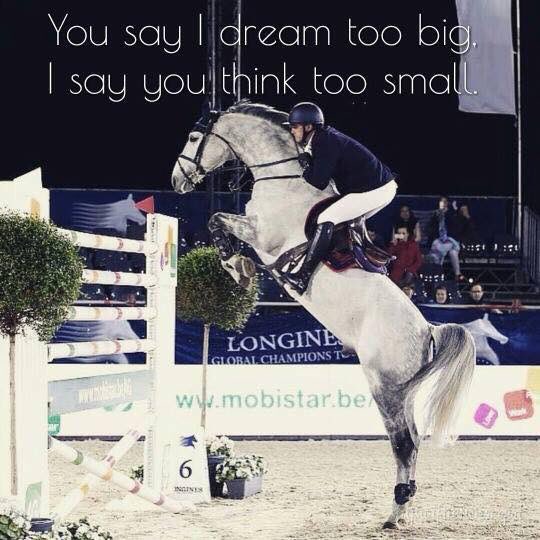 Drift_Queen1's tweet photo. #DreamBig #FightForYourDreams #NeverGiveUp #PositiveThinking #WorkHardPlayHarder #Horse #6Bar #Beauty #Animal https://t.co/W8TrrLxb8O