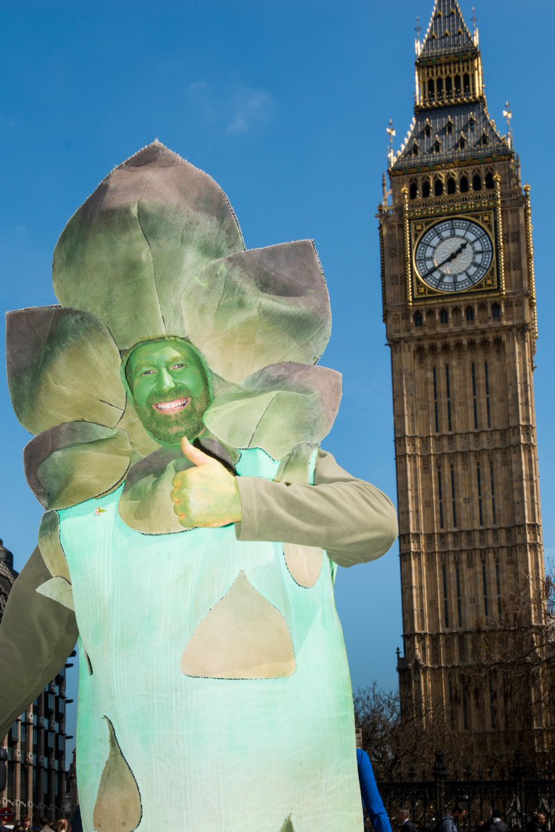 Wychavon's tweet photo. Great mention for 'Gus' on PMQ's today and the British Asparagus Festival! Thanks @HuddlestonNigel #PMQs #asparagus https://t.co/QrCl0Hz43R