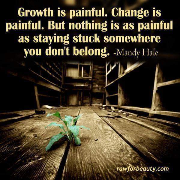 WSamsodien's tweet photo. Growth is painful. 
Change is painful. 
@RespectYourself 
@NorthSn https://t.co/0ef7MhfMLJ