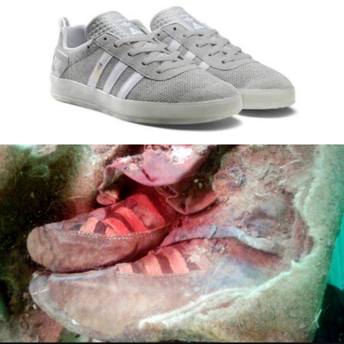 1KeyboardWarri1's tweet photo. Adidas killing it 1,500 years ago.
#SMatUC #Adeedas #mummifyswag https://t.co/uHO1rkhbJl