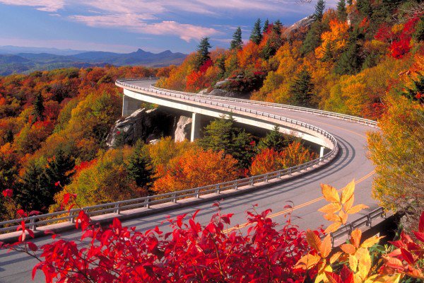 ashu0610's tweet photo. 10 Most Breathtaking Highways Of The World https://t.co/MItcDymzCB https://t.co/RharjqE5pn