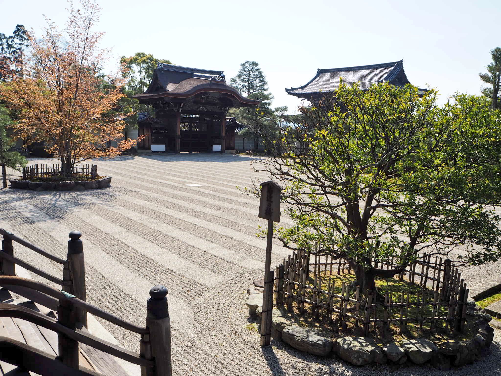 Hiro ここで仁和寺の御殿の庭園を 白川砂を敷き詰めたシンプルな南庭は格調の高さを感じます 右近の橘 左近の桜 T Co Ex3pcir08u Twitter