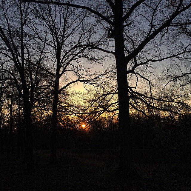 bo_wolfe's tweet photo. Mornin sunshine :) https://t.co/N0eNJuWrB5