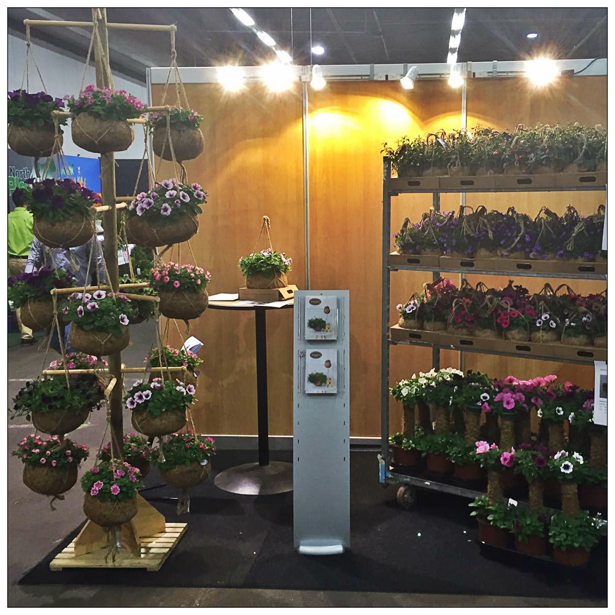 Vandaag en morgen tref je ons op de Spring Fair in Aalsmeer. Hier kun je ons nieuwste perkgoed assortiment bekijken!