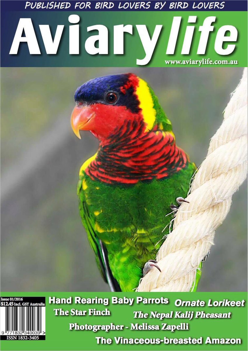 SimonDegenhard's tweet photo. Subscribe TODAY to guarantee receiving your copy of the upcoming issue of Aviarylife! 

https://t.co/FSa5tOBQfj https://t.co/FVBON9hiJr
