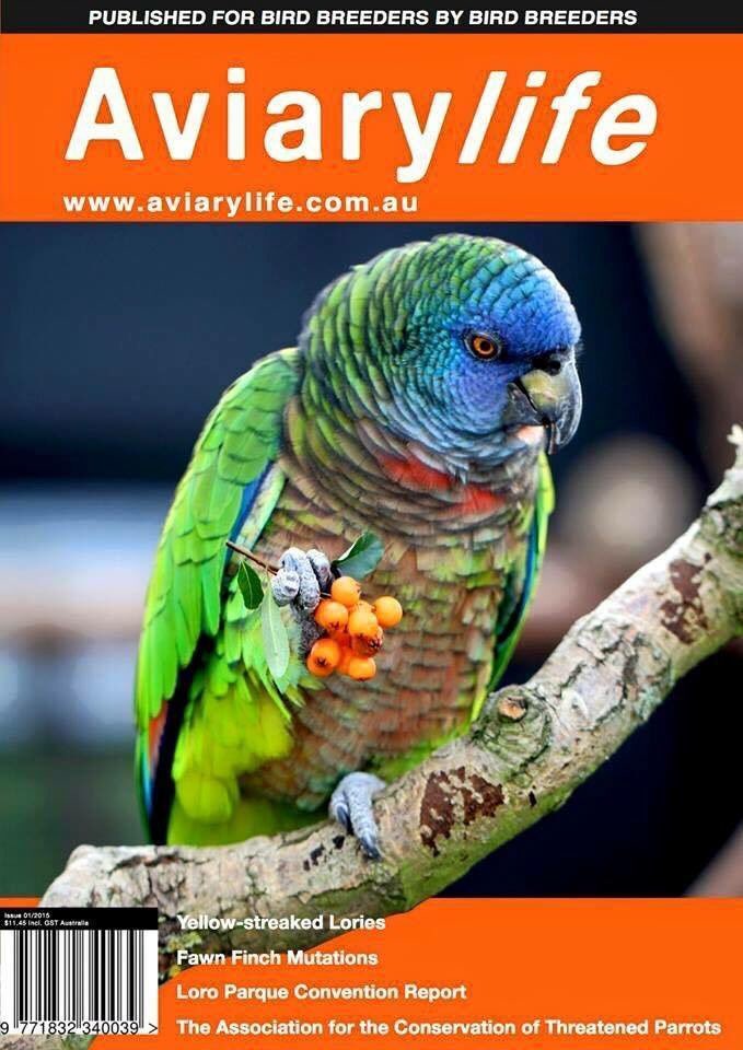 SimonDegenhard's tweet photo. Subscribe TODAY to guarantee receiving your copy of the upcoming issue of Aviarylife!

https://t.co/FSa5tOBQfj https://t.co/9LXJzukdoX