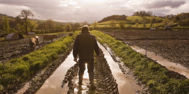 AgFunder's tweet photo. ‘Think Different’: 5 Ways to Reimagine #SeedLaunches, Apple Style https://t.co/o3DMrQRToD via @HuffPostGreen https://t.co/iQT0TPuiIi