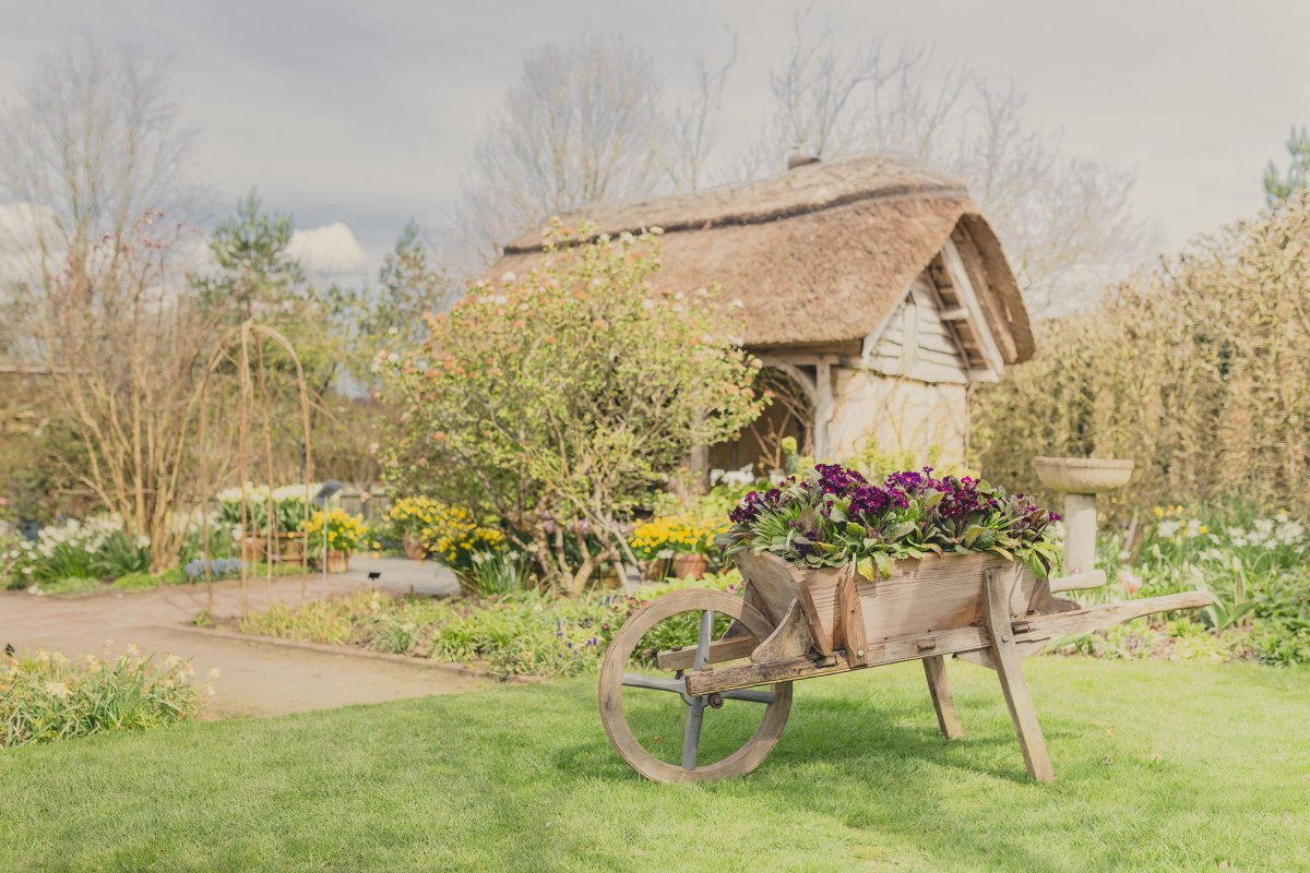 RHS_Rosemoor's tweet photo. Ready for #devonhour this evening, here are some dreamy shots of the Garden taken in yesterday's Spring sunshine https://t.co/dfzWOWY4yI