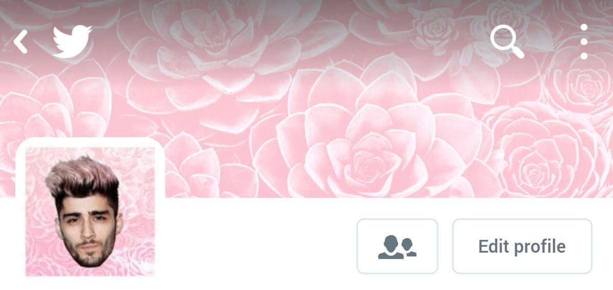 L0SERLAYOUTS's tweet photo. Pink Floating head layout!🌼

Please rt if you save!🌼 https://t.co/cvPQBY7Dqf