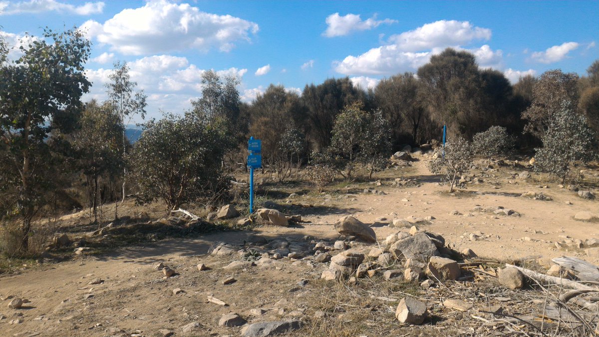 ZippyIO's tweet photo. #Stromlo Track 3 Ride. #mtb https://t.co/KcATUFjiSs
