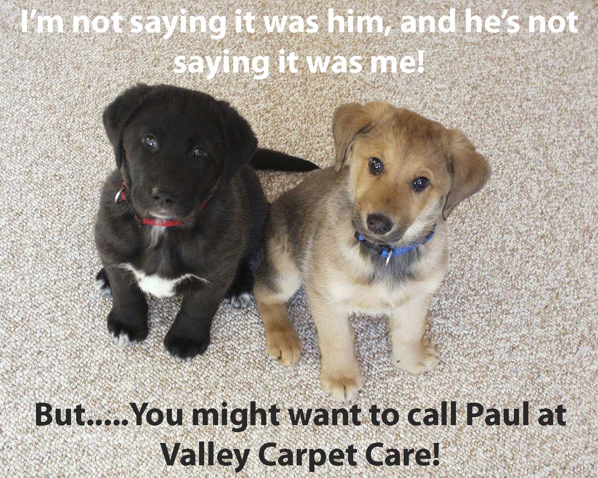 Valley Carpet Care (@vcarpetcare) on Twitter photo 