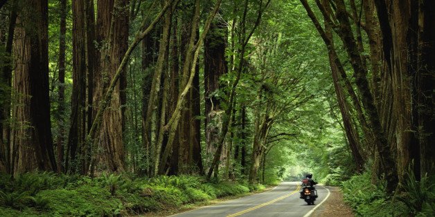 motortourer's tweet photo. We Asked Riders From Motorcycle Clubs All Over America To Recommend Their Favorite Roads - https://t.co/HzeVkXb7Vq https://t.co/kDIS0VHZyo