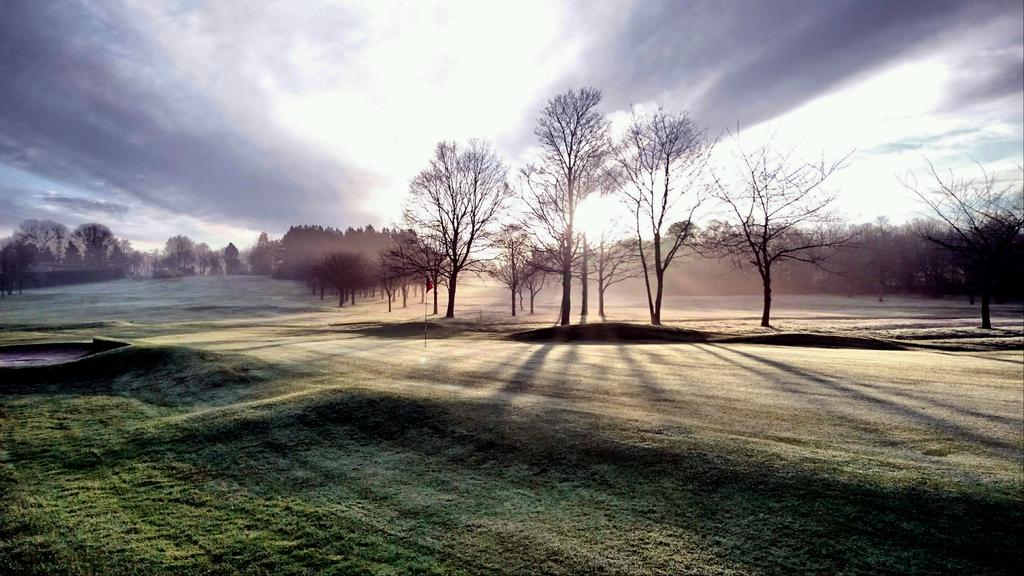 Dean Ward tweet media