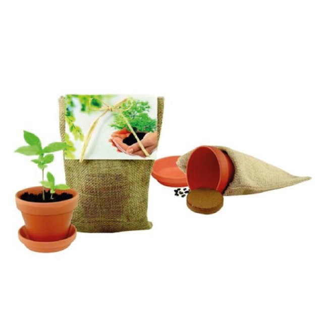 BBranded's tweet photo. kweek je eigen thee! #duurzaam #promotieartikel #relatiegeschenk #eco #geschenk https://t.co/hYPW56JGZZ