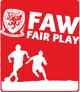 SwansWomen's tweet photo. Tonight's game is 6.30pm KO at Evans Bevan playing field Baglan SA12 8BG please show your support https://t.co/trGopDBWlb