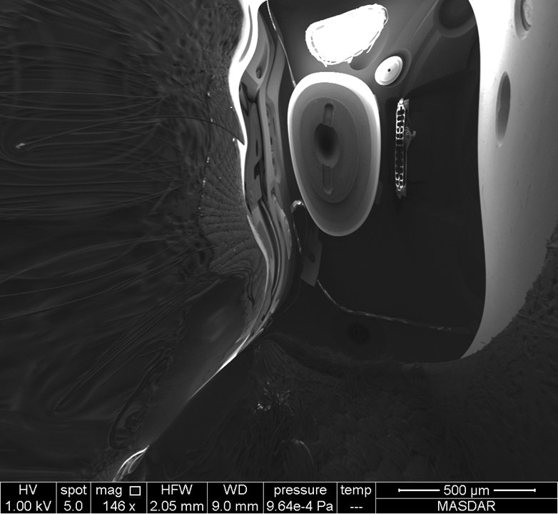 I was looking at a sample under the SEM.The sample is almost flat, no interesting features..but suddenly I saw this: