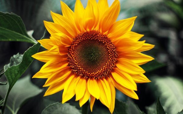 JeanetteEliz tweet picture