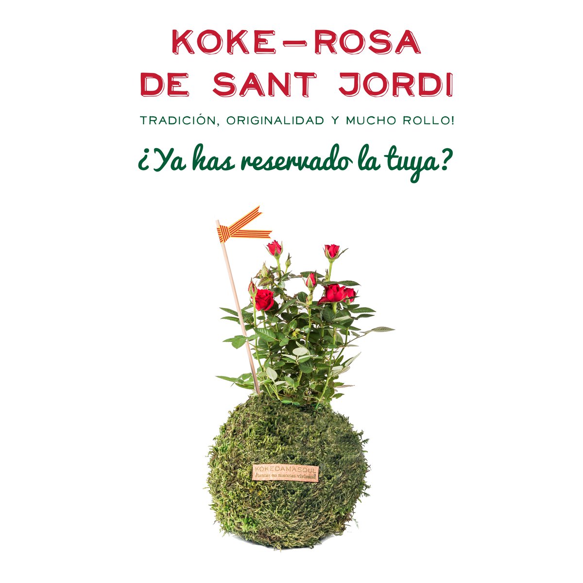Nuestra propuesta de Sant Jordi: la Koke-Rosa! Reserva la tuya antes del 20/4 en kokedamasoul.com/producto/koke-…