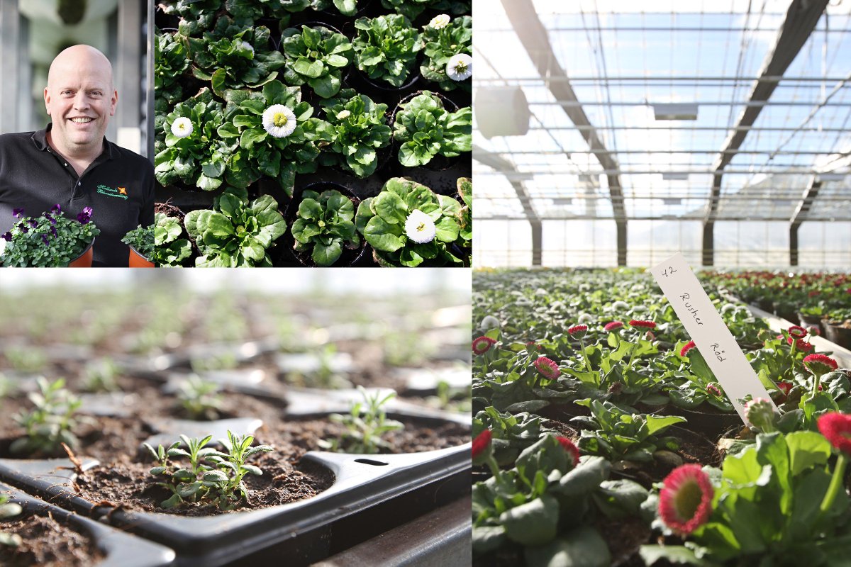 NettoSE's tweet image. Hallands Blomsterodling är ett av våra Svenska #Smultronställen. Läs mer om dem här
netto.se/vaara-varor/sv…