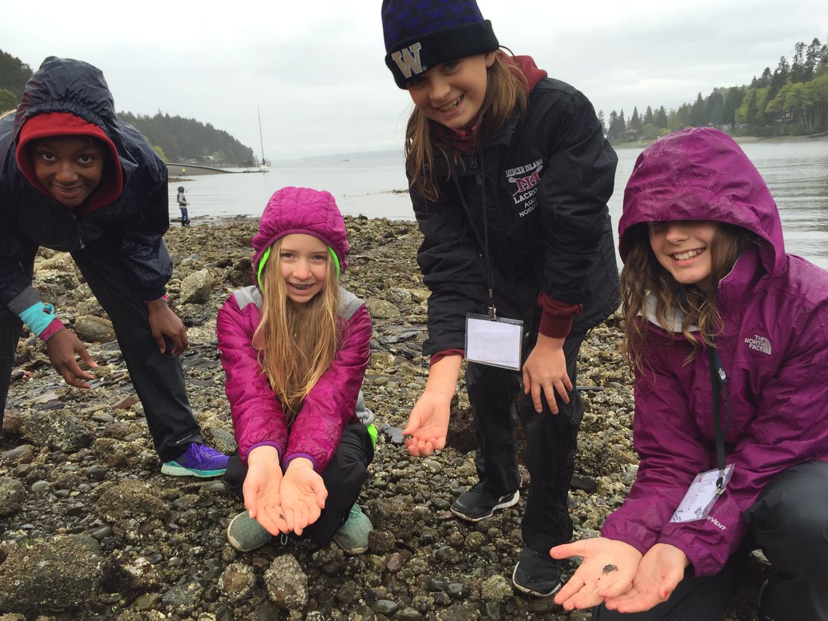 ForestRidgeMS's tweet photo. Team Estuary explored Blakely Harbor. Check out the crabs. #gr5 #Islandwood #Goal4 https://t.co/8yFQQ5vygd