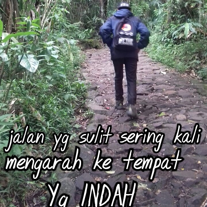 Muhammad Febrian tweet media